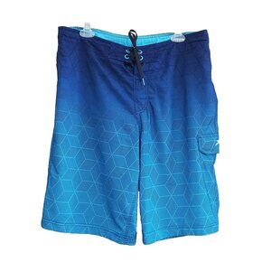 Speedo Men's Teal Blue Ombre Swim Trunks Board Shorts Size 34 Geometric Print